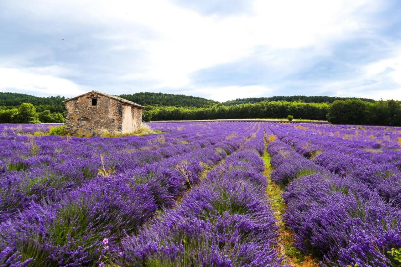 Petit Studio Atypique Et Cosy En Provence Saint-Étienne-les-Orgues Zewnętrze zdjęcie
